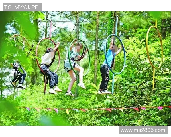 杨娜独家揭秘极限运动的乐趣与挑战分享心得与技巧