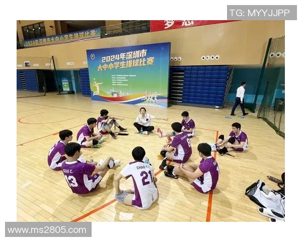 深圳排球队逆袭之路的真实记录与奋斗精神的展现