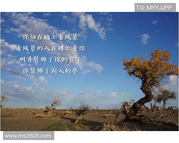 黄静的滑板人生：从初学者到职业选手的心路历程与成长故事